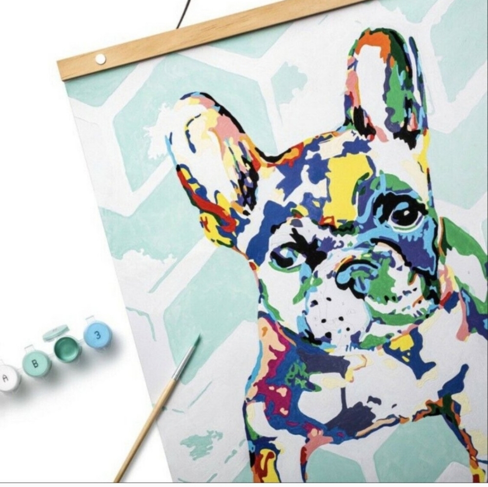 Mondo Llama Paint-By-Number Canvas Kit Paints Brush & Frame, French Bulldog